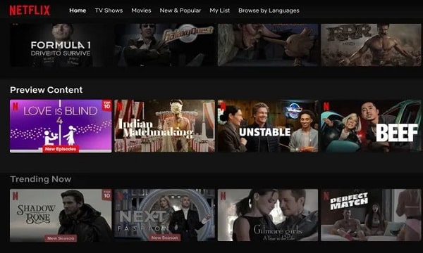 Netflix Alternative App