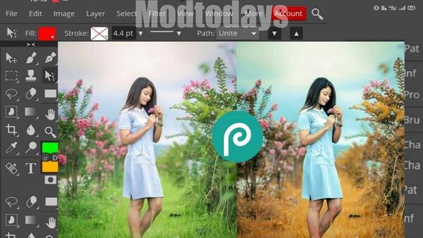 Photopea Mod APK Free Purchase