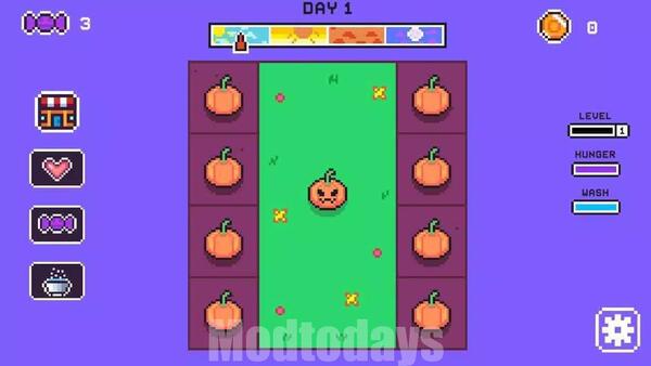 Pumpkin Love APK For Android