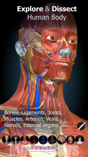 Anatomy Learning 3D Mod APK