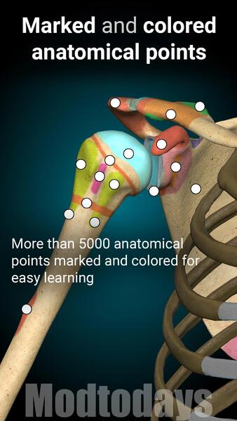 Anatomy Learning Mod APK Latest Version