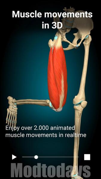 Anatomy Learning Mod APK Premium Unlocked