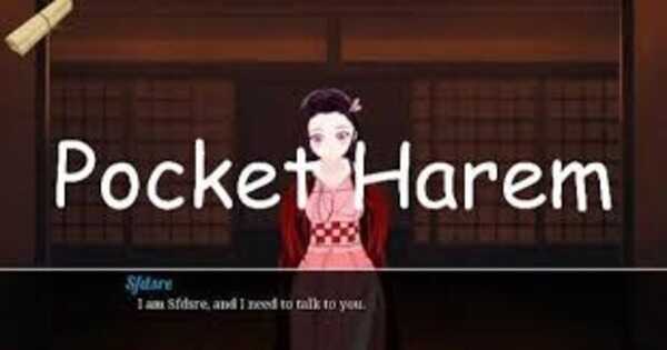 Pocket Harem