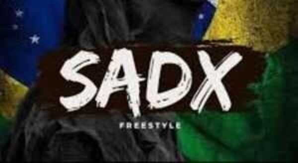 Sadx Painel