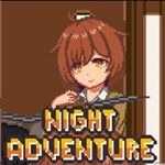 Night Adventure Game