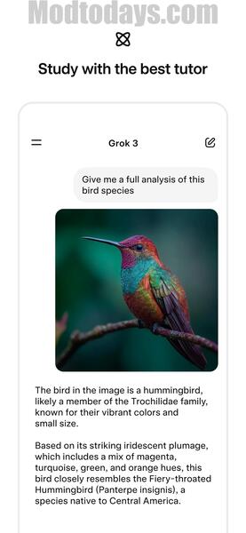 Grok 4 AI Mod APK