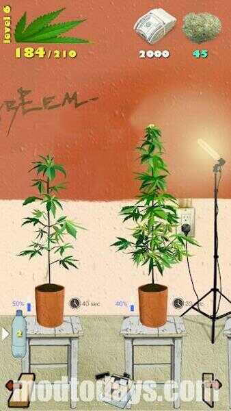 Weed Firm Mod APK Unlocked Everything