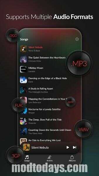 Echo Music APK Ad Free