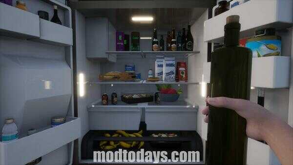 Mom Got Stuck Washing Machine APK Download