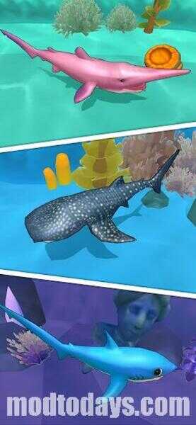 Shark Universe APK Latest Version