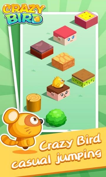 Crazy Bird Games