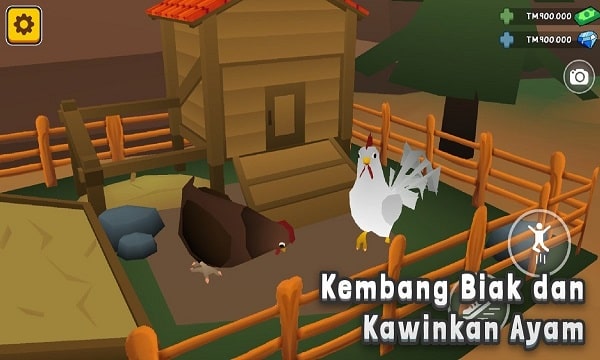 Aku si JURAGAN AYAM Mod APK For Android