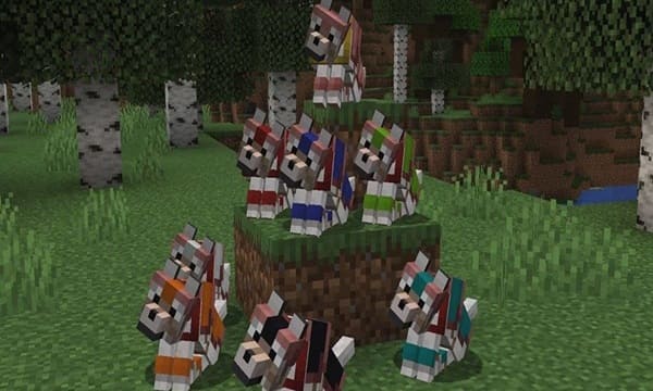Minecraft 1.20.80.20 APK