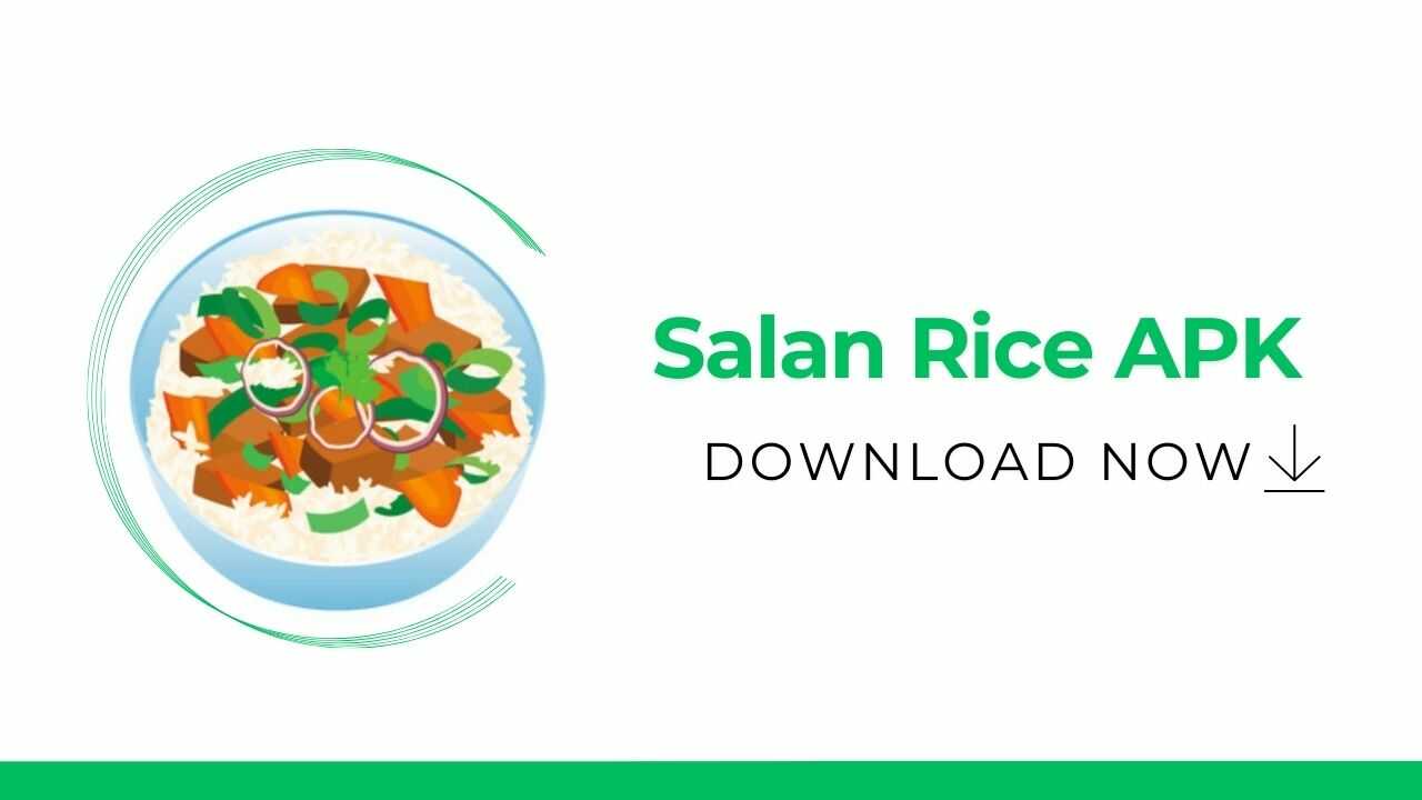 Salan Rice